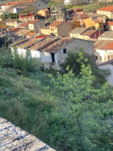 Vista panorámica de un barrio con casas de techo de tejas y vegetación