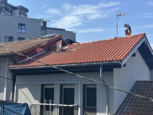 Hombre sobre un tejado con tejas rojas realizando trabajos de rehabilitación