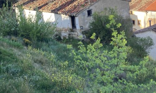 Vista panorámica de un barrio con casas de techo de tejas y vegetación